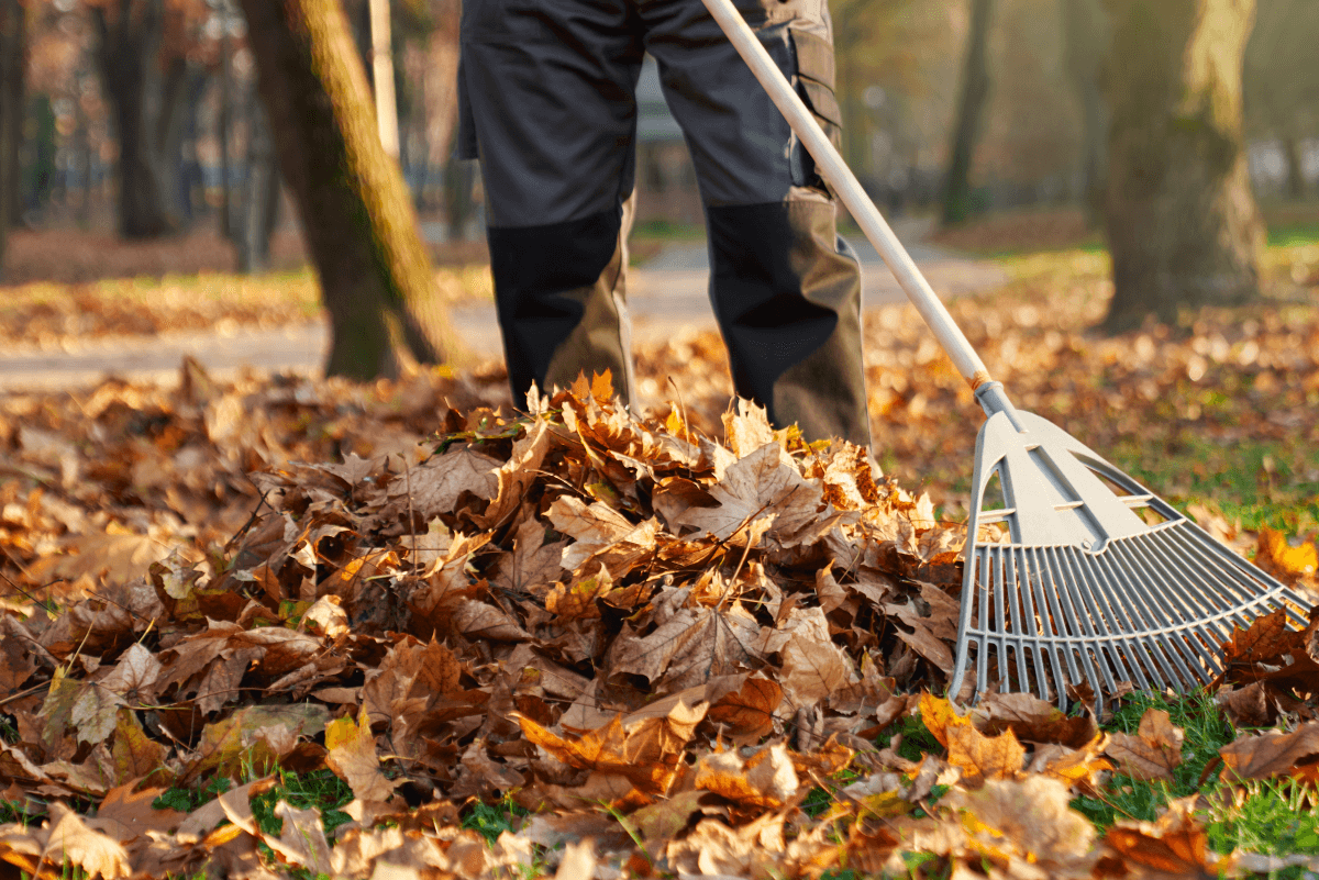 Landscaping services in Newberrytown pa